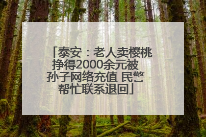泰安：老人卖樱桃挣得2000余元被孙子网络充值 民警帮忙联系退回